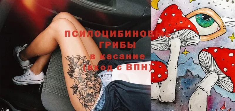 как найти наркотики  площадка клад  Псилоцибиновые грибы MAGIC MUSHROOMS  Бокситогорск 